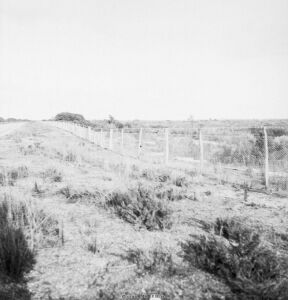 Australian Rabbit Fence