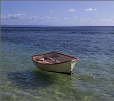 dingy anchored near shore