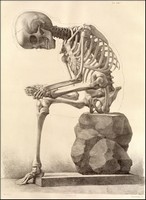 skeleton pondering its foot