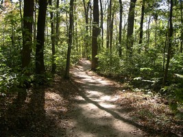 path in Dawes Arboretum