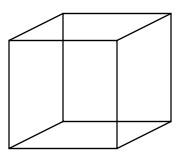 Necker cube