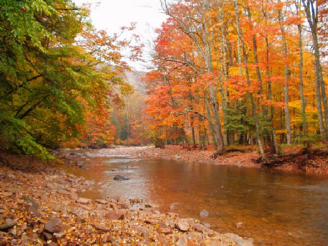 Cranberry Wilderness, Monongahela National Forest