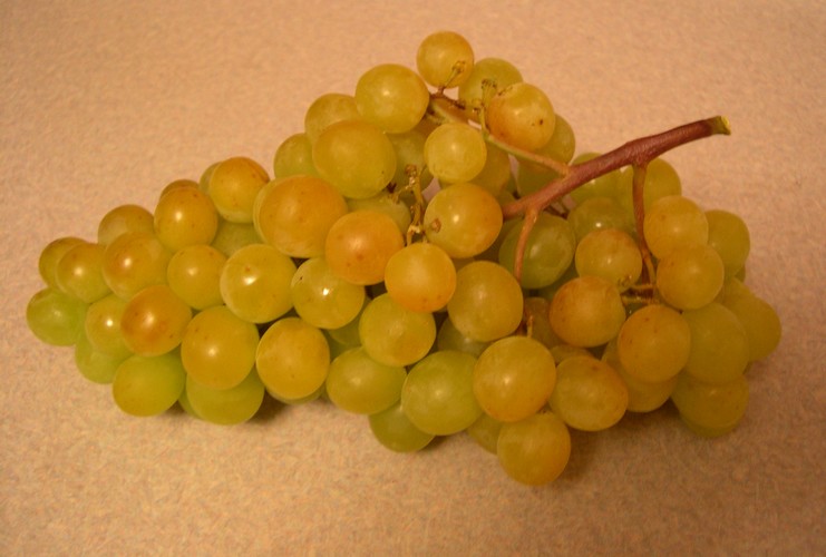 golden tinged green grapes