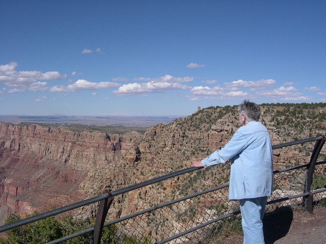 Fern, Grand Canyon, AZ – Lipan Point