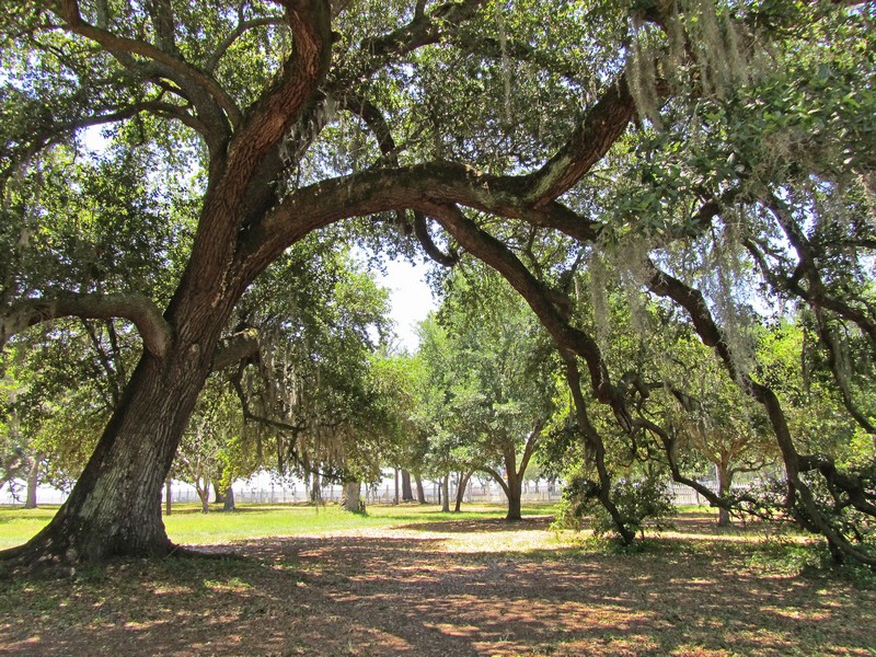 Beauvoir: Jefferson Davis home - Biloxi, MS